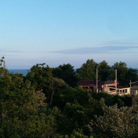 Guest House Nika New Athos Exterior photo